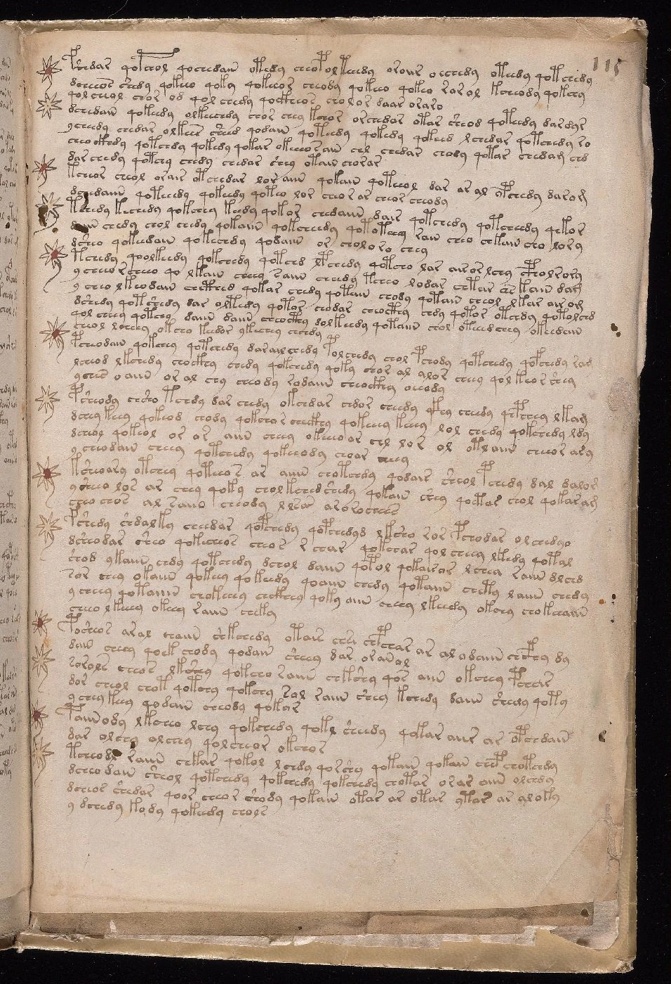 Enlarged brown writing from folio 115r.