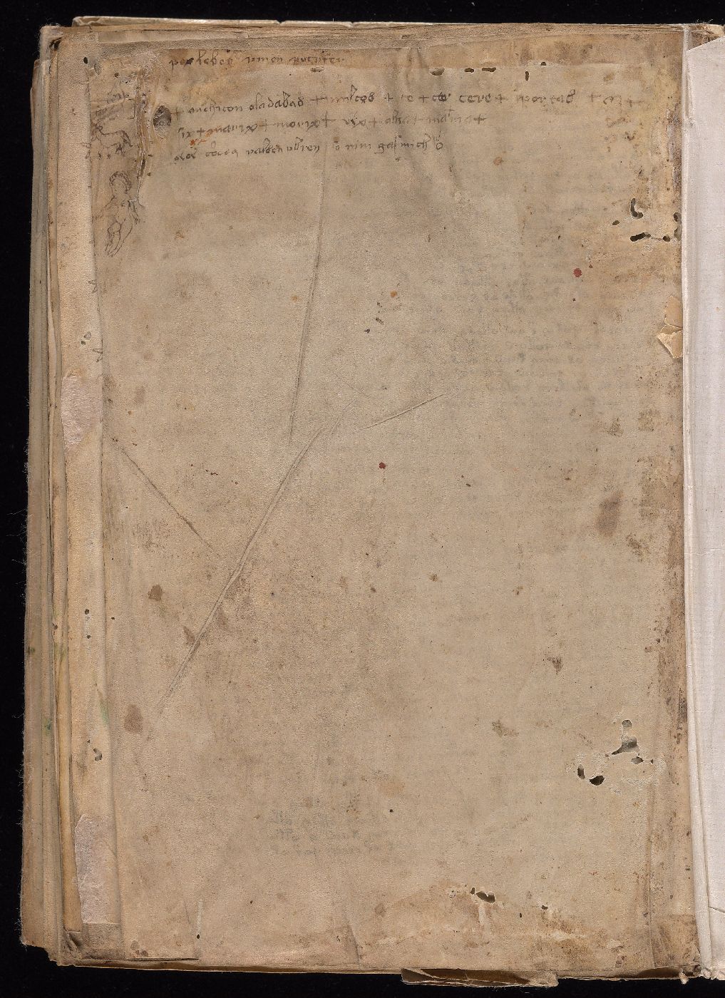 Folio 116v, the last written leaf, with a later reader's lines of cursive across the top margin.